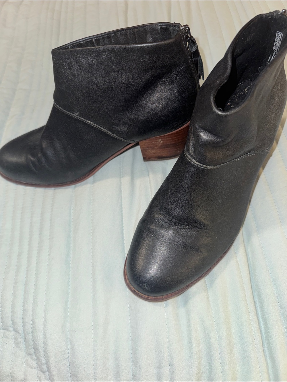 Tom’s Booties/Ankle Boots in Black
